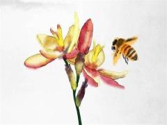 七四年屬虎的今年財運(yùn) 屬虎財運(yùn)最旺的是哪年