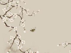 2002年屬蛇的運(yùn)勢(shì),2002年出生屬蛇的命運(yùn)