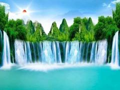 夢見哪種魚是財運