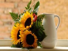 夢見給死人磕頭