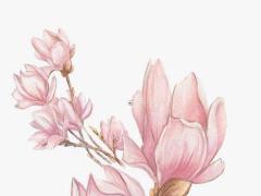 受蛇的今年財運怎么樣 屬蛇人今年運勢被壓的屬相