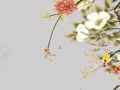 生肖兔本命年適合佩戴什么飾品好一點,生肖兔本命年適合佩戴什么飾品好看