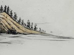 1995年屬豬2025年幸運色 1995屬豬男最佳婚配