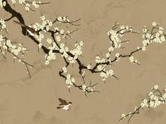 2025生肖狗82年運勢 生肖狗2025佩戴飾物