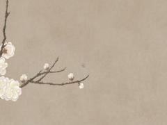 2001年屬蛇的虛歲,2001年屬蛇的虛歲多少