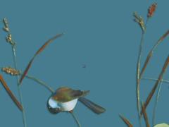 水瓶座2025年3月運勢 水瓶座三月運勢陶白白