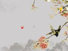 屬蛇人2025年的運勢完整篇 乙巳蛇屬什么五行