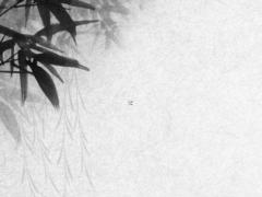 屬兔本命年帶什么鐲子最好,本命年兔戴什么轉(zhuǎn)運