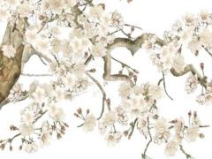 屬兔本命年女生帶什么生肖,屬兔本命年女生帶什么生肖飾品