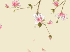 1970年屬狗未來哪年起大運,1970年屬狗何時行大運