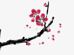 1975年屬兔人2025年運勢運程 1975年兔最旺的一年