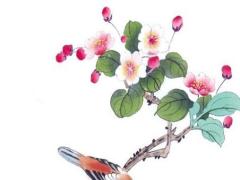 本命年兔戴什么玉墜好一點(diǎn),本命年兔戴什么玉墜好一點(diǎn)女