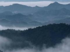 36歲蛇年本命年運勢 本命年36歲運勢