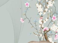 犯太歲2025年生肖是什么屬相 蛇年犯太歲屬相有哪些