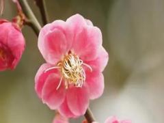 夢(mèng)見(jiàn)去超市買(mǎi)東西