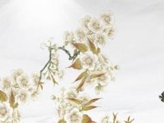 88年屬龍女2025年運勢 88年的龍2025年運勢