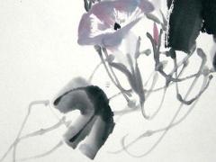 1976年屬龍人44歲大難,1976年屬龍45歲之后會大富大貴