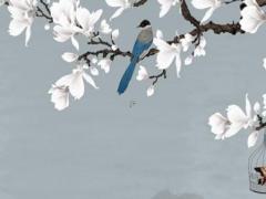 94年屬狗2025運勢及運程 屬狗1970今年的運勢