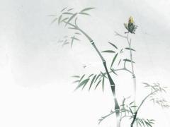 2025屬狗運勢詳解 屬狗人轉運方法