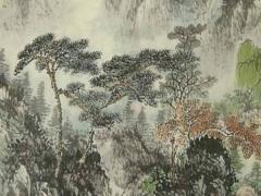 屬兔人本命年的幸運數字是什么,屬兔的人本命年好不好