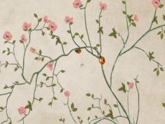 94屬狗運勢好在哪年出生,1994年屬狗哪年運氣不好