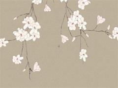 本命年兔買什么手機(jī)殼,本命年兔戴什么轉(zhuǎn)運(yùn)