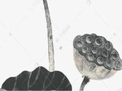 本命年兔適合戴什么孕婦手鏈,本命年兔適合戴什么孕婦手鏈好