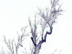 1987年兔五行屬什么火命,87年兔是五行屬什么火命