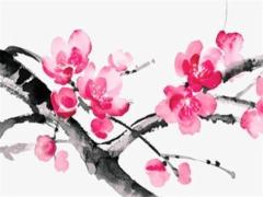 2025年龍年幾月出生好命 龍年出生在2025運勢如何