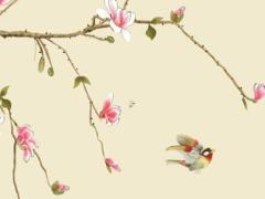 屬兔人生于87年最佳婚配結果如何呢,屬兔87年一生婚姻狀況