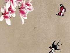 屬兔女生本命年能結婚嗎好嗎,屬兔女生本命年能結婚嗎好嗎