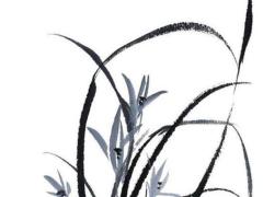 運(yùn)勢(shì)分析準(zhǔn)嗎可信嗎,運(yùn)勢(shì)準(zhǔn)嗎?