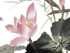 屬兔的人本命年應(yīng)該帶什么屬相,屬兔的人本命年佩戴什么好