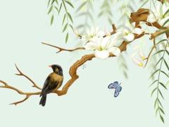 2025年蛇人運程1977年 2025屬蛇人最旺飾品