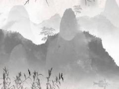 今年20歲屬什么生肖的女孩,今年20歲了屬什么的屬性呢