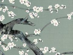 2025年屬龍每個月運(yùn)勢如何 屬虎2025年注意事項(xiàng)