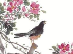 87年屬兔火命吉利數字,87年屬兔一生幸運數字