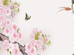 1980年屬猴男在2025年的運勢 屬猴運勢及運程