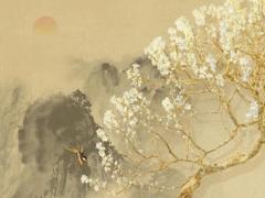 屬豬人二月運(yùn)氣好不好,屬豬二月的財(cái)運(yùn)