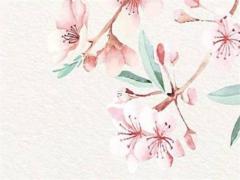 2025年農歷七月是什么時候 2025農歷七月是幾月