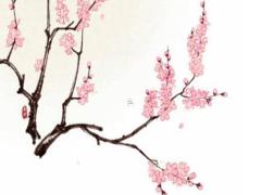 76年生的本命佛是什么,76年生的本命佛是什么生肖