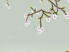 本命年2月份兔運(yùn)勢如何呢,本命年兔子