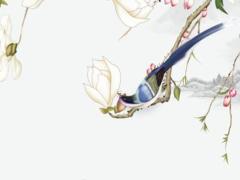 2025年屬羊男在下半年 2025屬羊男今天運勢