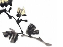 2025年屬牛人運程怎樣呢 2025年屬牛人的運勢及運程