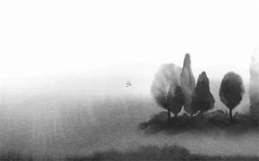 本命年屬兔應該帶什么生肖,本命年屬兔應該帶什么生肖好