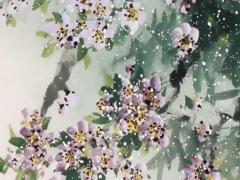 2025年屬什么生肖運勢 2026年屬什么生肖五行屬啥