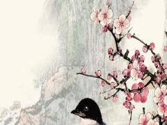 1960年屬鼠的今年運(yùn)勢(shì) 屬猴今年運(yùn)氣怎樣