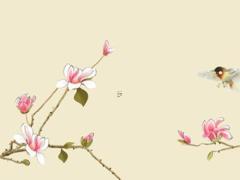 2025年幾月出生最好命運(yùn)呢 2025年幾月出生最好農(nóng)歷