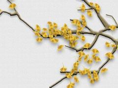 本命年兔明年帶什么生肖,本命年兔明年帶什么生肖飾品