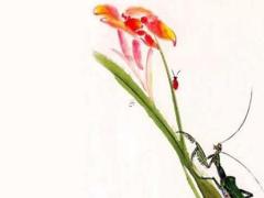 2025屬什么生肖年齡最大呢 2025屬什么生肖年齡對照表